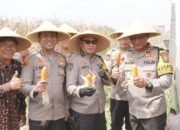 Kapolda Jawa Timur dan Forkopimda Panen Raya Jagung di Prambon Sidoarjo