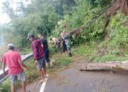 Polisi bersama TNI dan Warga Bersihkan Longsor Jalur Wisata Telaga Ngebel di Ponorogo Kembali Normal