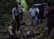 Bawa Ganja di Perbatasan, Seorang WNA Papua New Guinea Diamankan Polisi