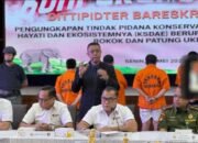 Dittipidter Bareskrim Polri Ungkap Perdagangan Ilegal Gading Gajah di Sukabumi dan Jakarta