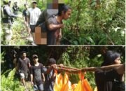 Serangan Sadis KKB Bantai Satu Anggota Kodim 1715/Yahukimo dan 2 Warga Sipil di Papua Pegunungan