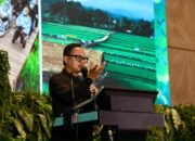 Di The Top Tourism Leaders Forum, Wamendagri Bima Bicara Pentingnya Diferensiasi Ekonomi Kreatif